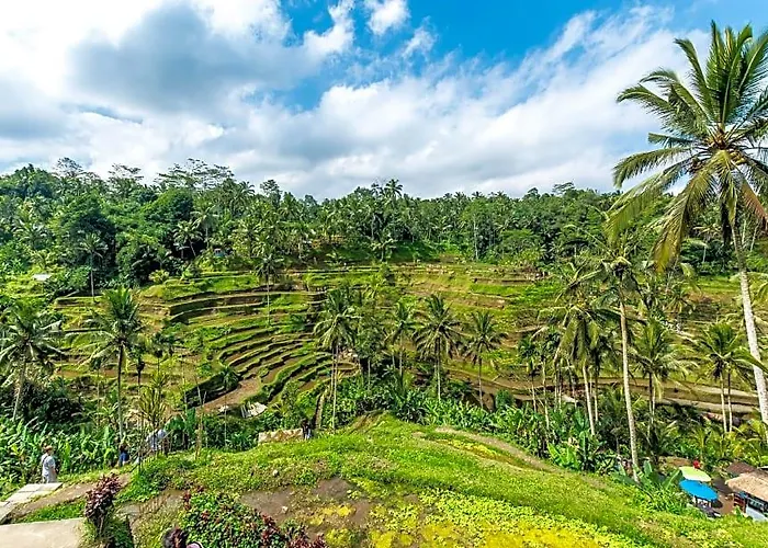 Uma Caming Ubud 3*